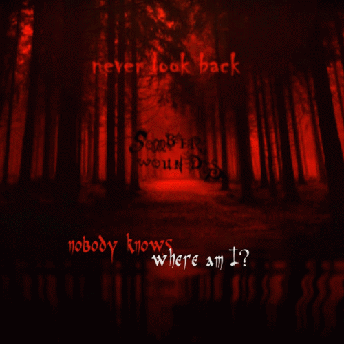 Somber Wounds : Never Look Back